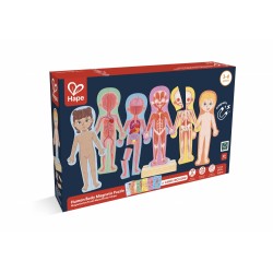 Образователен магнитен пъзел, Hape, човешко тяло, 68 части