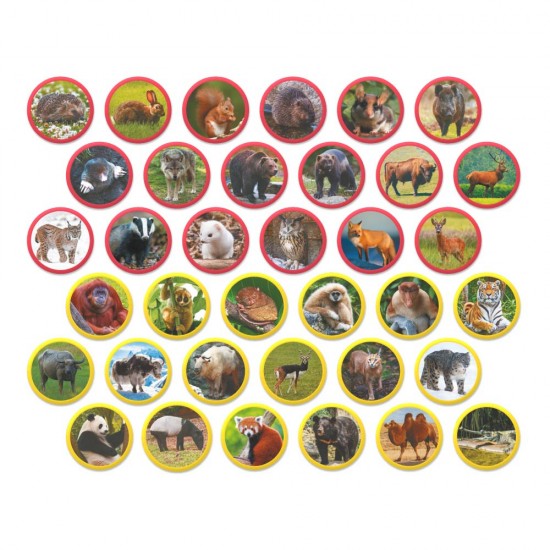 Магнитна игра Монтесори - Животните на Евразия 