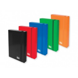 Кутия с ластик Spree Single Colour 250x350x50мм